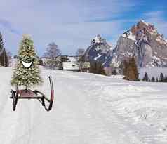 有趣的快乐微笑圣诞节树滑动滑雪山坡雪橇冬天山景观