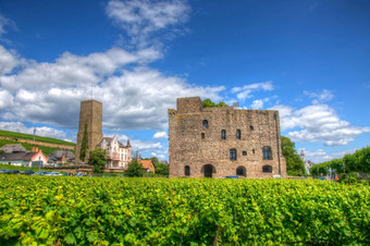 葡萄园中世纪的城堡堡垒boosenburgruedesheim黑森雇佣兵德国