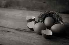 蛋壳牌鸡蛋木生活