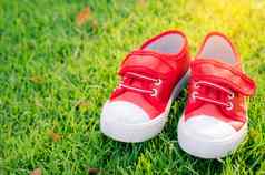 红色的鞋子孩子们绿色草地板上