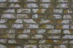 宏特写镜头黄色的石头砖墙白色斑点体系结构背景