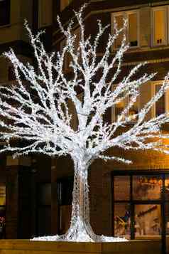 美丽的点燃树完整的圣诞节灯街道城市晚上