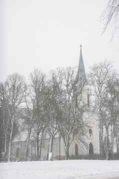 冬天景观雪覆盖教堂树