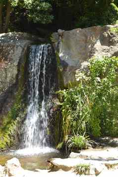 瀑布流石头杂草丛生的植物夏天自然公园