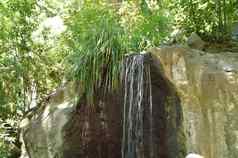瀑布流石头杂草丛生的植物夏天自然公园
