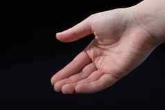 手指人类手部分视图