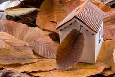 模型房子的地方秋天叶子