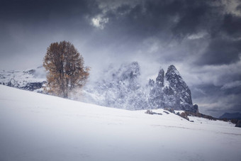 雪早期冬天景观阿尔卑斯Siusi白云石<strong>山脉</strong>斜体字