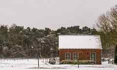 小农民小屋冬天景观风景农场字段房子覆盖雪生活森林