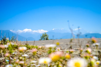 干城章嘉峰山范围佩林停机坪前风景优美的视图山干城章嘉峰地区喜马拉雅山脉尼泊尔拍摄模糊的花前景
