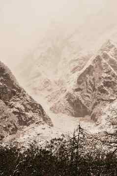 白雪覆盖的山山峰冻景观喜玛拉雅山谷冬天美丽的景观雪封顶山树松森林前景覆盖雪冬天季节