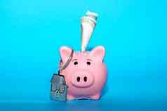 粉红色的小猪银行房子表格有色概念储蓄财务状况真正的房地产存款