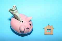 粉红色的小猪银行房子表格有色概念储蓄财务状况真正的房地产存款