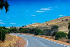 弯曲的路领先的干山西方澳大利亚
