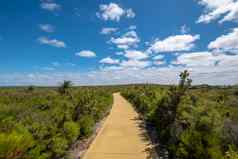 徒步旅行路径美丽的绿色景观西方澳大利亚尼尔根自然储备