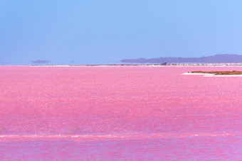 粉红色的湖格雷戈里西方澳大利亚<strong>海市蜃楼</strong>地平线