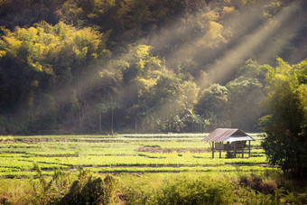 小屋大<strong>豆花</strong>园山包围