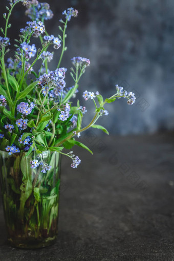 勿忘我花花瓶黑暗背景