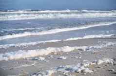 海岸太平洋海洋罕见的贝壳海泡沫