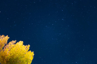 长曝光晚上天空星星照片很多星星星座树前言城市晚上景观
