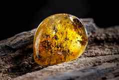 自然琥珀色的石头一块脏透明的黄色的琥珀色的一块用石头砸木