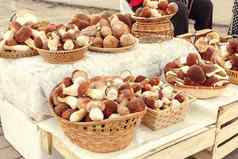 美丽的可食用的森林蘑菇牛肝菌属Edulis嗜松属王牛肝菌一分钱好9月柳条篮子铺设出售市场