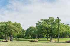 自然城市公园草草坪上树郁郁葱葱的德州阿美利