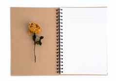 干玫瑰花铅笔笔记本