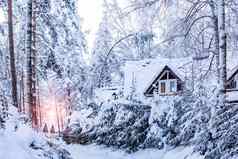 别墅冬天白雪覆盖的森林滑雪度假胜地