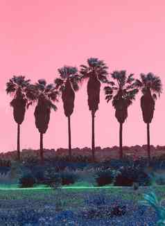 棕榈树行摘要超现实主义的粉红色的绿色颜色