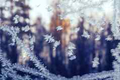 冷淡的雪花模式冬天窗口森林日落