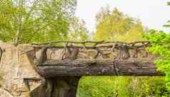 美丽的手精心制作木桥使树树干分支机构童话风景花园体系结构自然背景