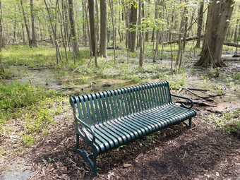 绿色金属板凳上座位森林森林水