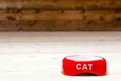 猫红色的碗空地板上房子空间前