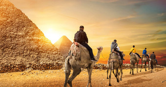 骆驼商队金字塔