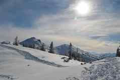 滑雪滑雪板跟踪雪山坡上flachau奥地利