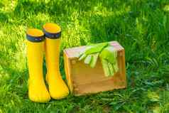 木盒子绿色手套黄色的橡胶靴子郁郁葱葱的草