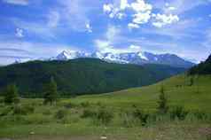 肥沃的谷孤独的松树蓝色的天空背景雪山峰north-chuisky脊阿尔泰西伯利亚俄罗斯景观