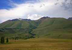 肥沃的谷孤独的松树蓝色的天空背景雪山峰north-chuisky脊阿尔泰西伯利亚俄罗斯景观