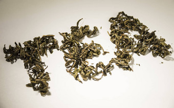 登记茶绿色茶叶子白色背景