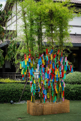 挂起彩色纸条tanzaku竹子分支机构好吉祥传统的七夕日本节日