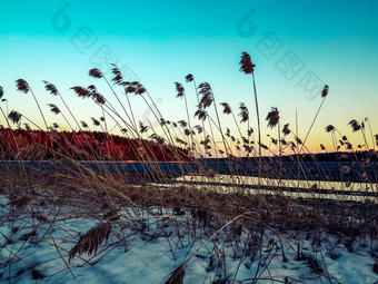 美丽的秋天景观<strong>冰雪森林</strong>湖日落