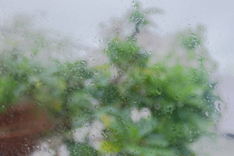 雨滴表面湿窗口玻璃放多雨的季节摘要背景自然模式雨滴孤立的模糊的树户外多云的背景