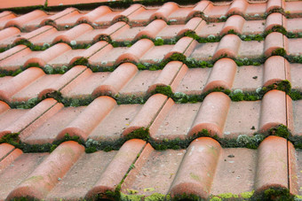 瓷砖屋顶覆盖红色的瓷砖杂草丛生的莫斯齐格尔达赫藏起来用根达奇格尔用穆斯贝瓦克森