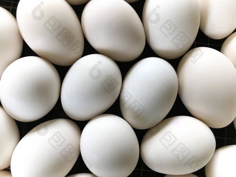 白色鸭鸡蛋面板木