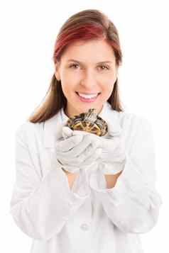 年轻的兽医持有宠物乌龟