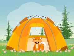 红色的狐狸帐篷