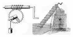 发明家热心的镜子螺杆水蠕虫