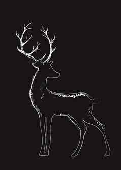 海报鹿肖像黑色的背景