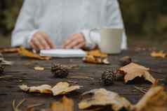 年轻的女人白色毛衣坐在黑暗表格公园持有杯茶咖啡读取写背景黄色的秋天叶子温暖的秋天大气软焦点复制空间